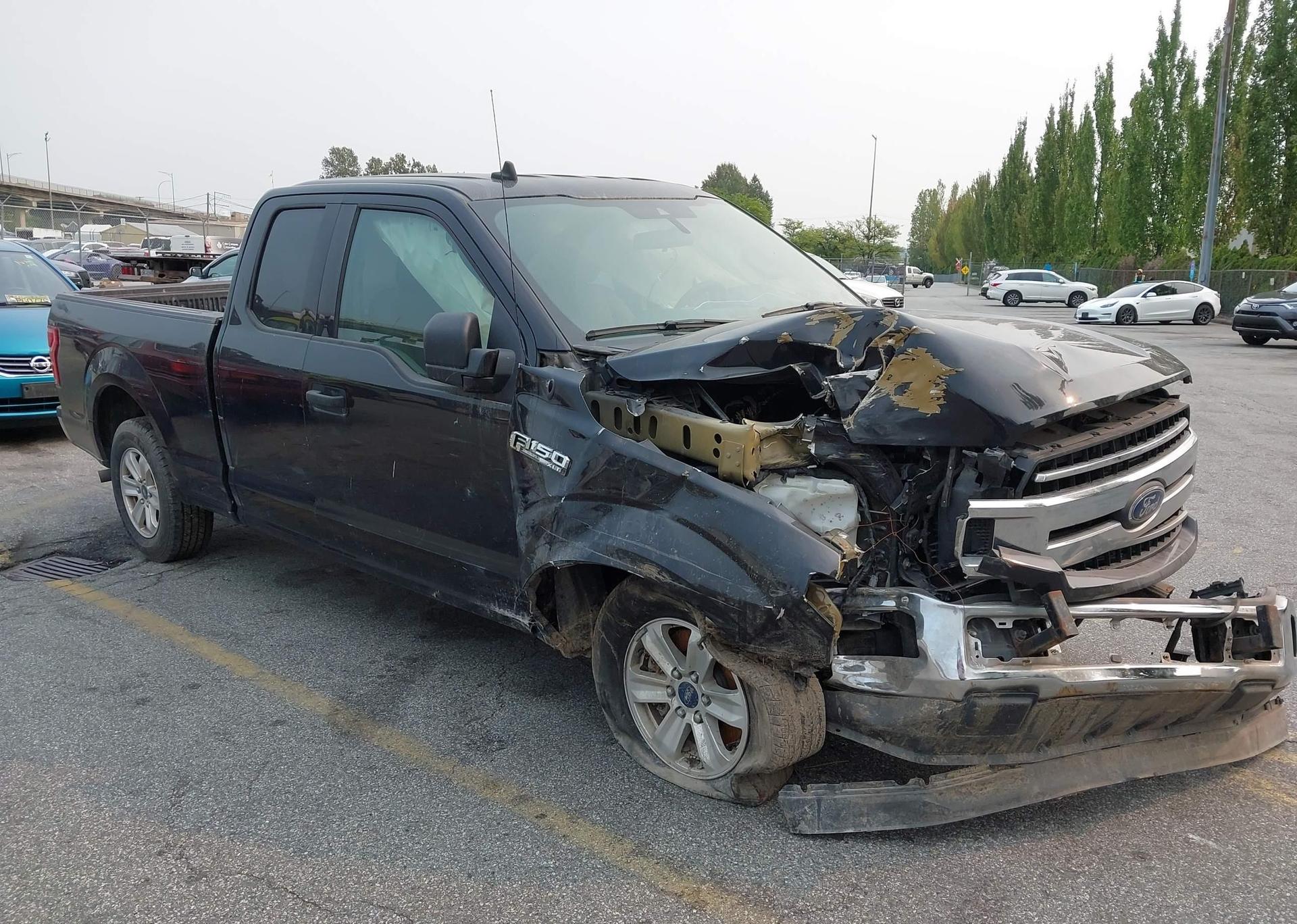 2019 FORD F150