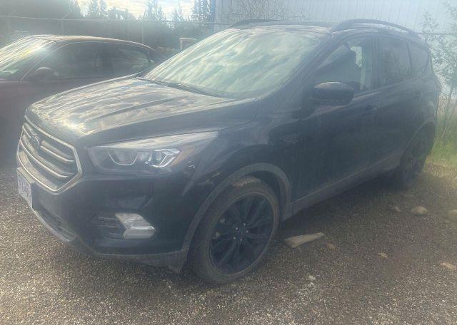2019 FORD ESCAPE SE