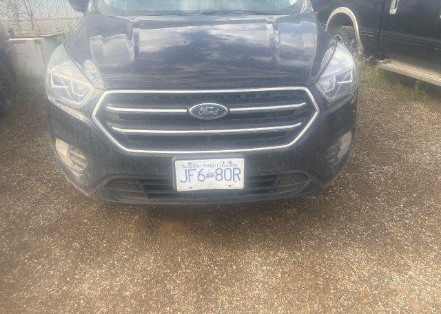 2019 FORD ESCAPE SE