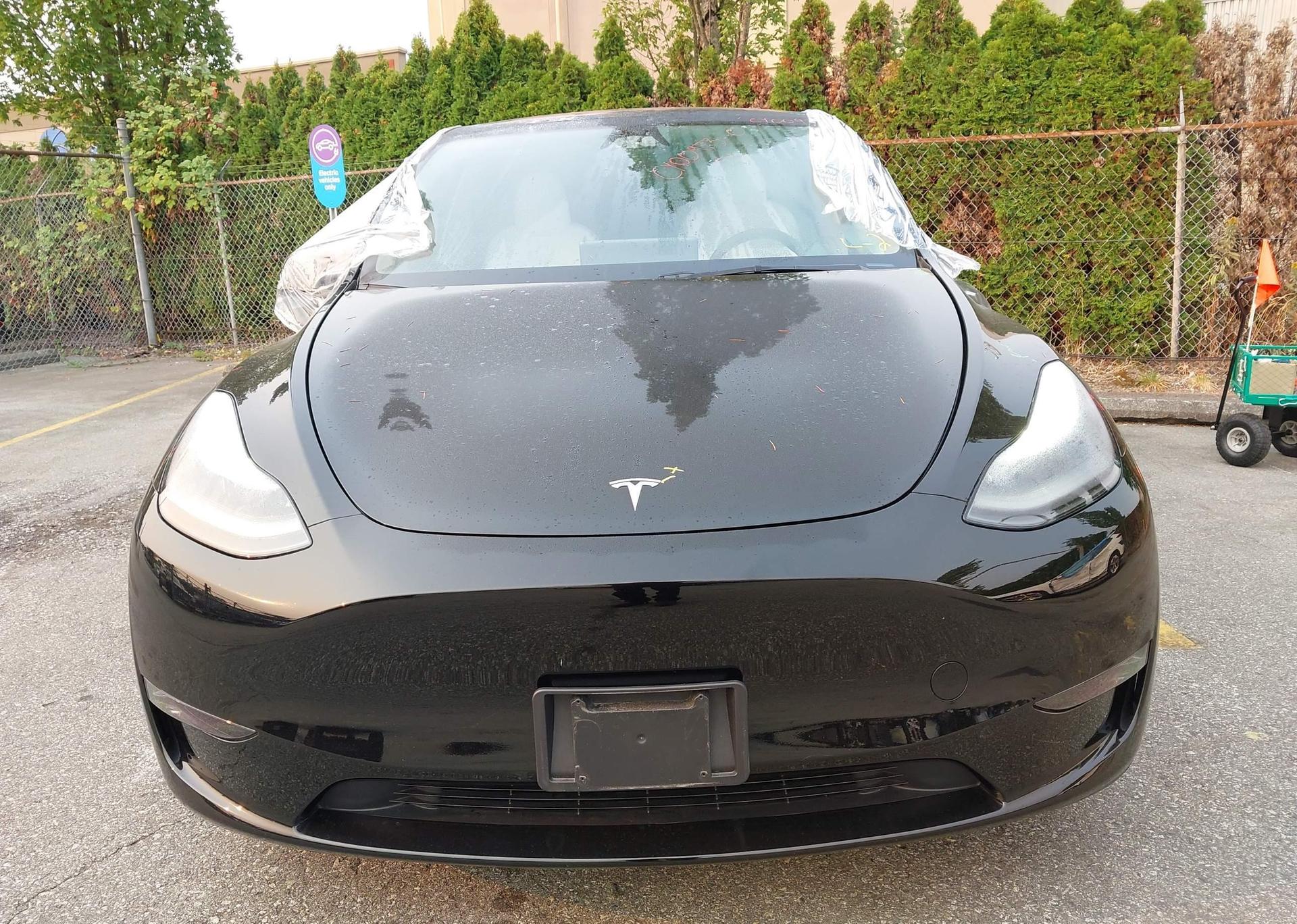 2024 TESLA MODEL Y