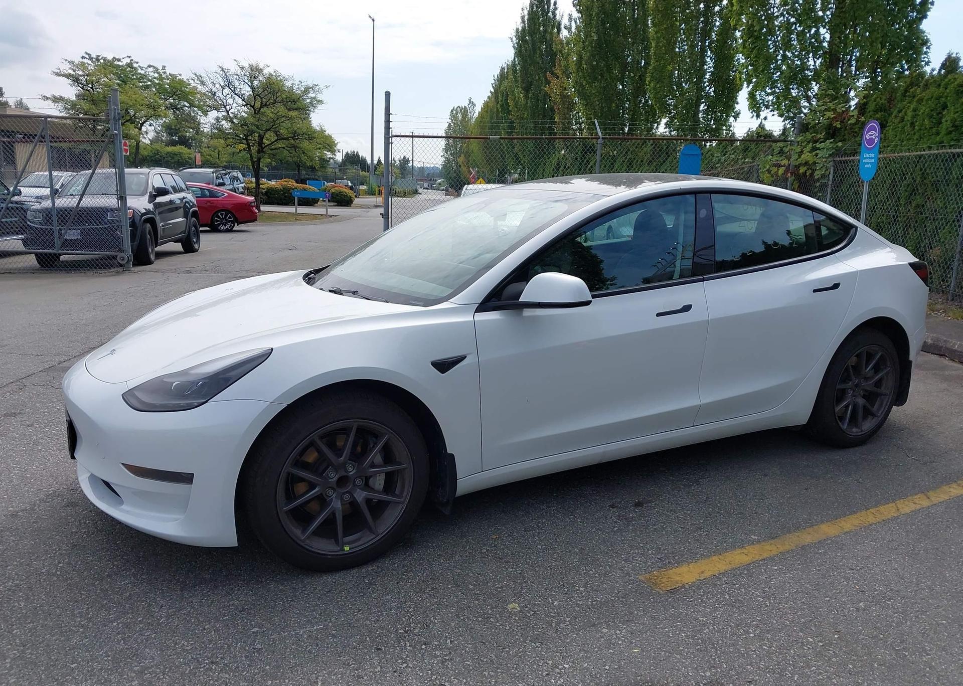 2023 TESLA MODEL 3
