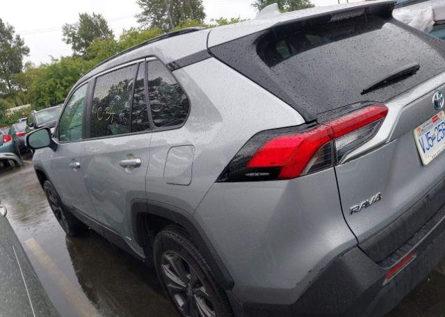 2023 TOYOTA RAV4 XLE