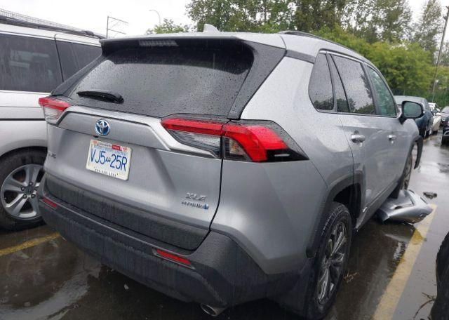 2023 TOYOTA RAV4 XLE