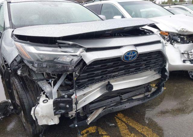 2023 TOYOTA RAV4 XLE