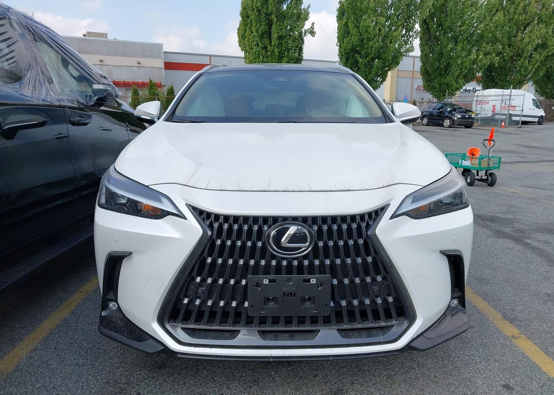 2025 LEXUS NX 350H BASE