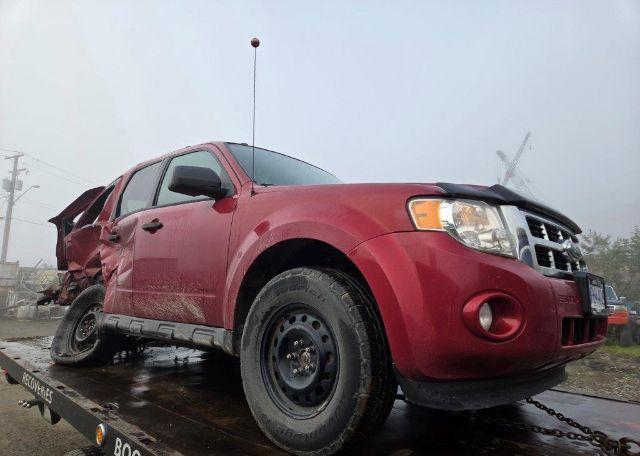 2011 FORD ESCAPE XLT