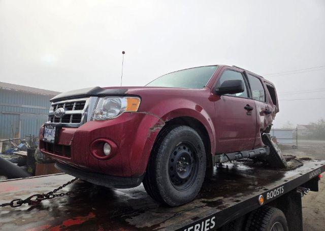 2011 FORD ESCAPE XLT