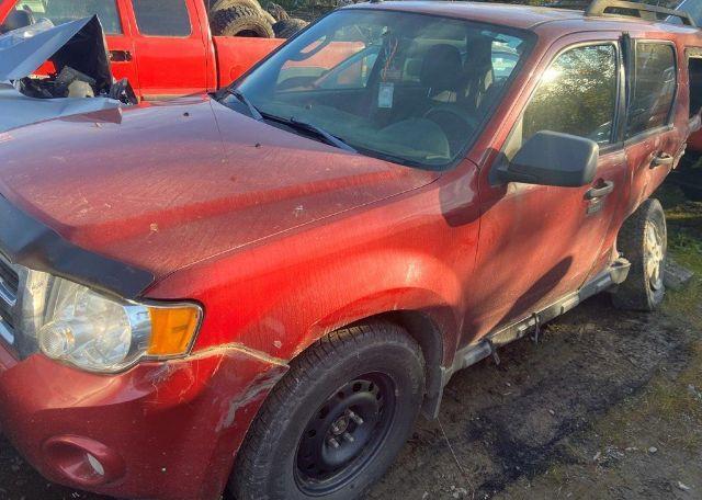 2011 FORD ESCAPE XLT