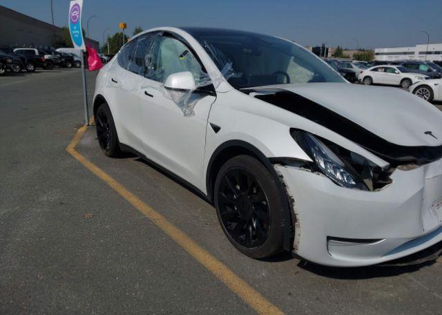 2021 TESLA MODEL Y