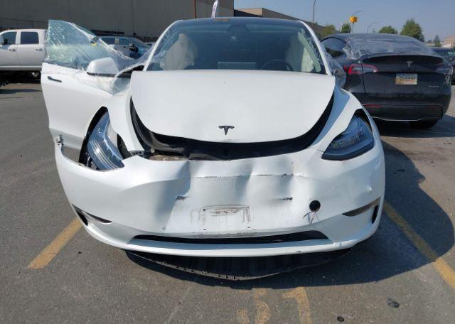 2021 TESLA MODEL Y
