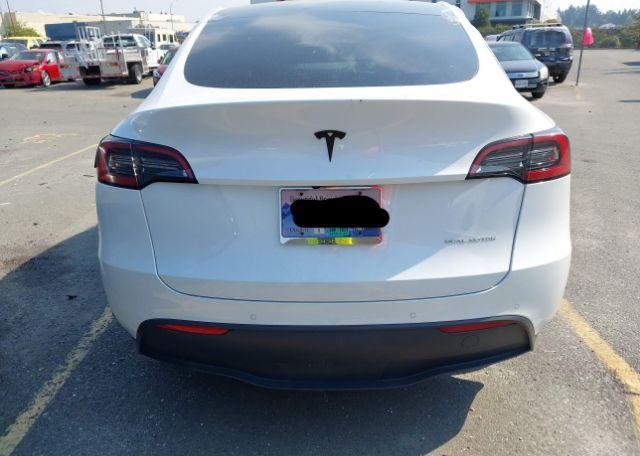 2021 TESLA MODEL Y