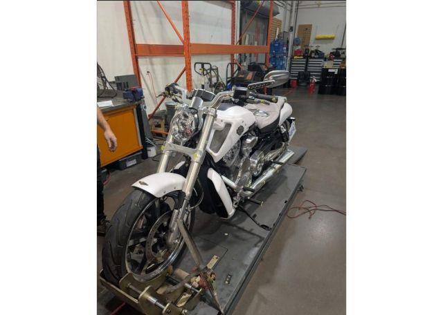 2013 HARLEY-DAVIDSON VRSCF VROD MUSCLE