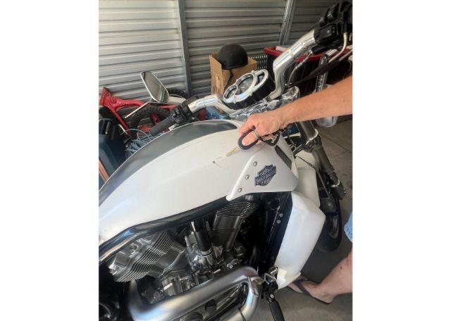 2013 HARLEY-DAVIDSON VRSCF VROD MUSCLE