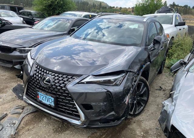 2025 LEXUS UX 300H
