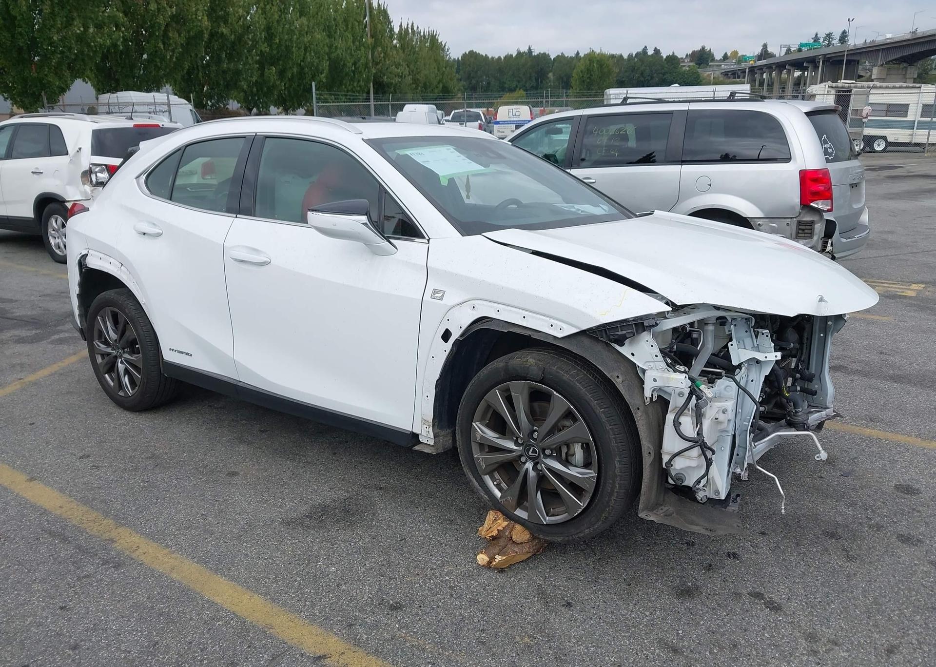 2019 LEXUS UX 250H