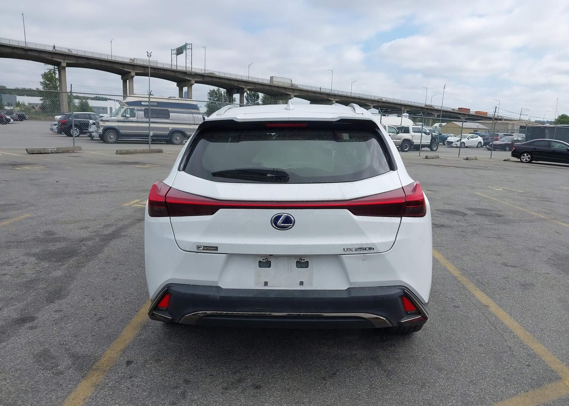 2019 LEXUS UX 250H