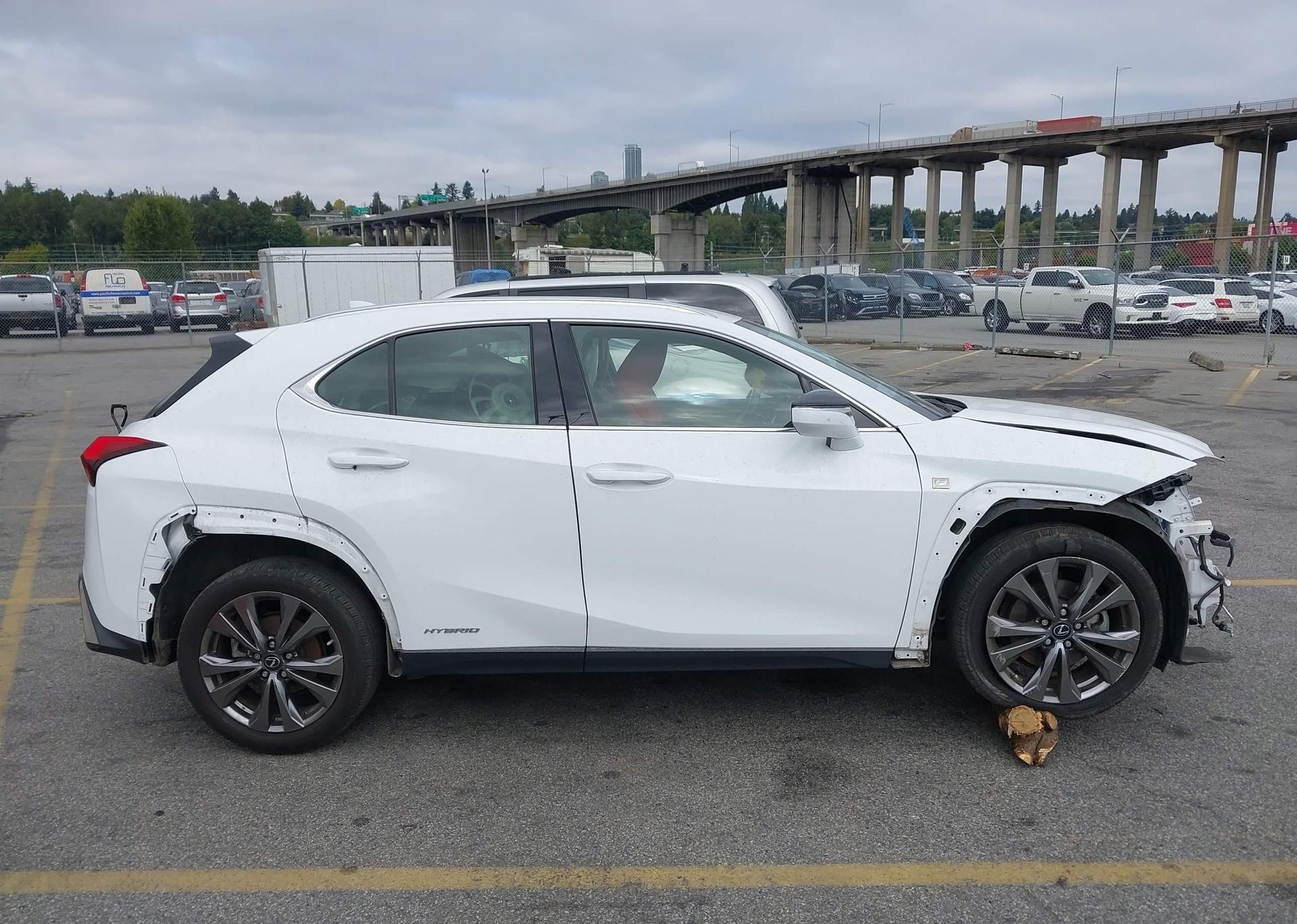 2019 LEXUS UX 250H