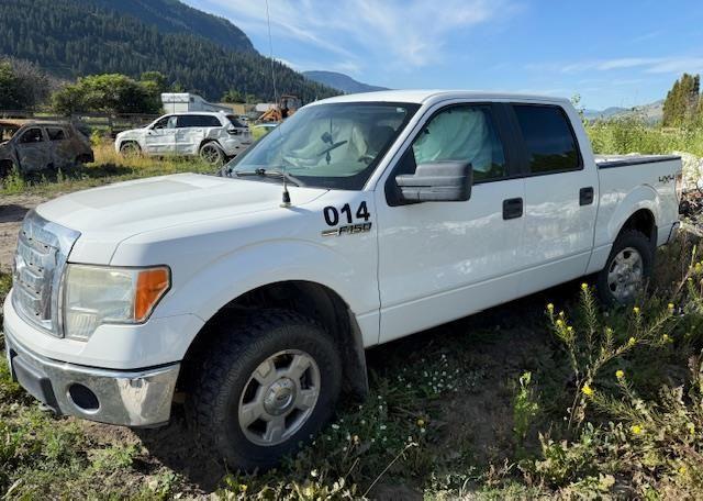 2010 FORD F150
