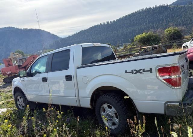 2010 FORD F150