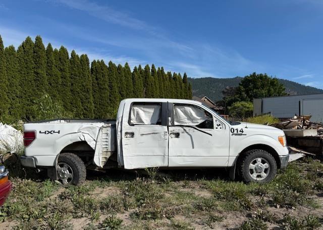 2010 FORD F150