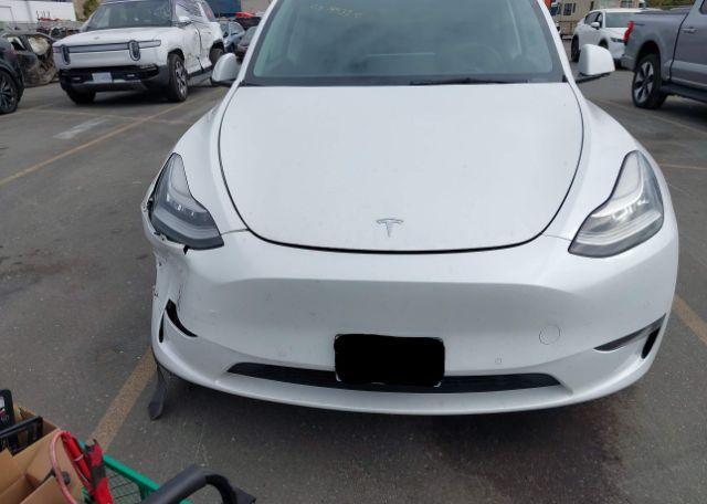 2022 TESLA MODEL Y