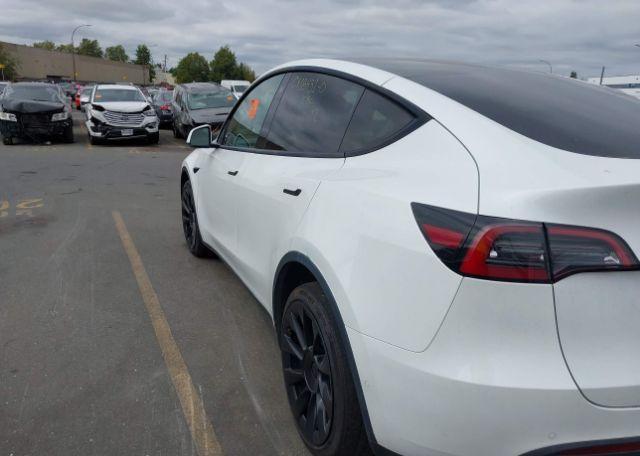 2022 TESLA MODEL Y