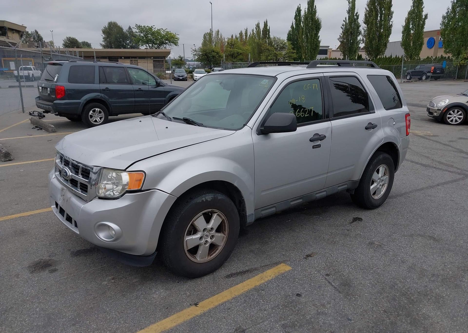 2010 FORD ESCAPE XLT