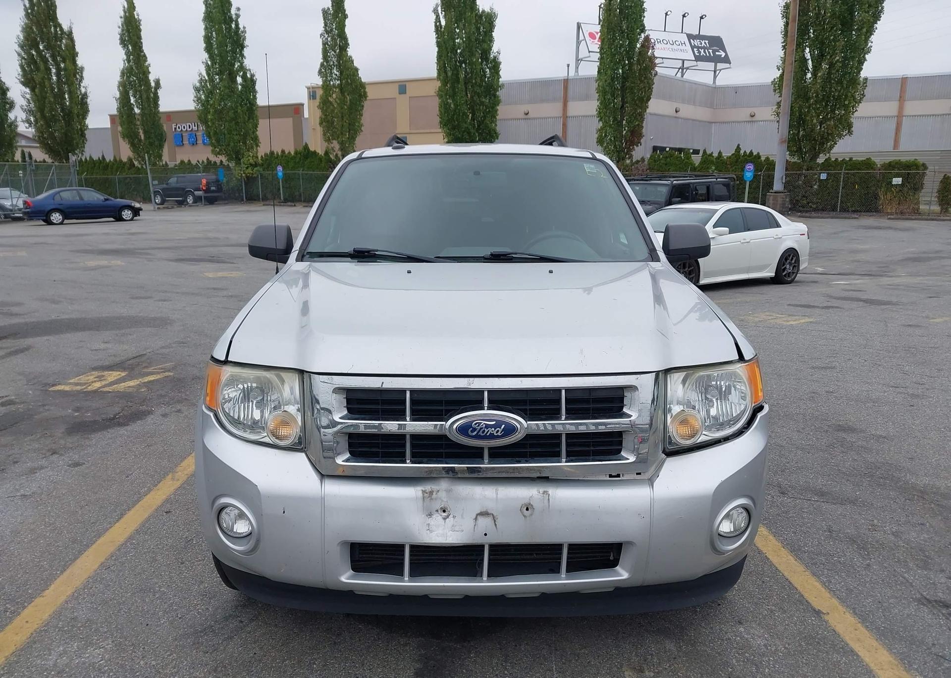 2010 FORD ESCAPE XLT