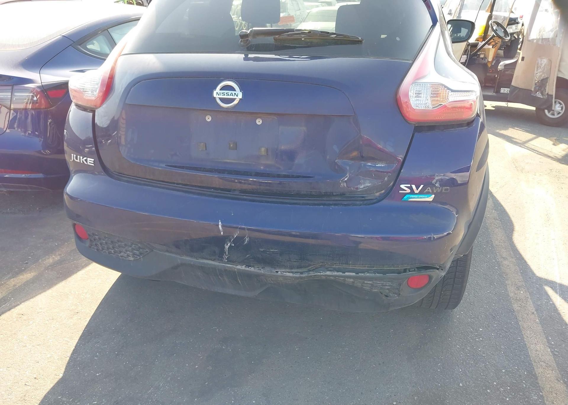 2015 NISSAN juke