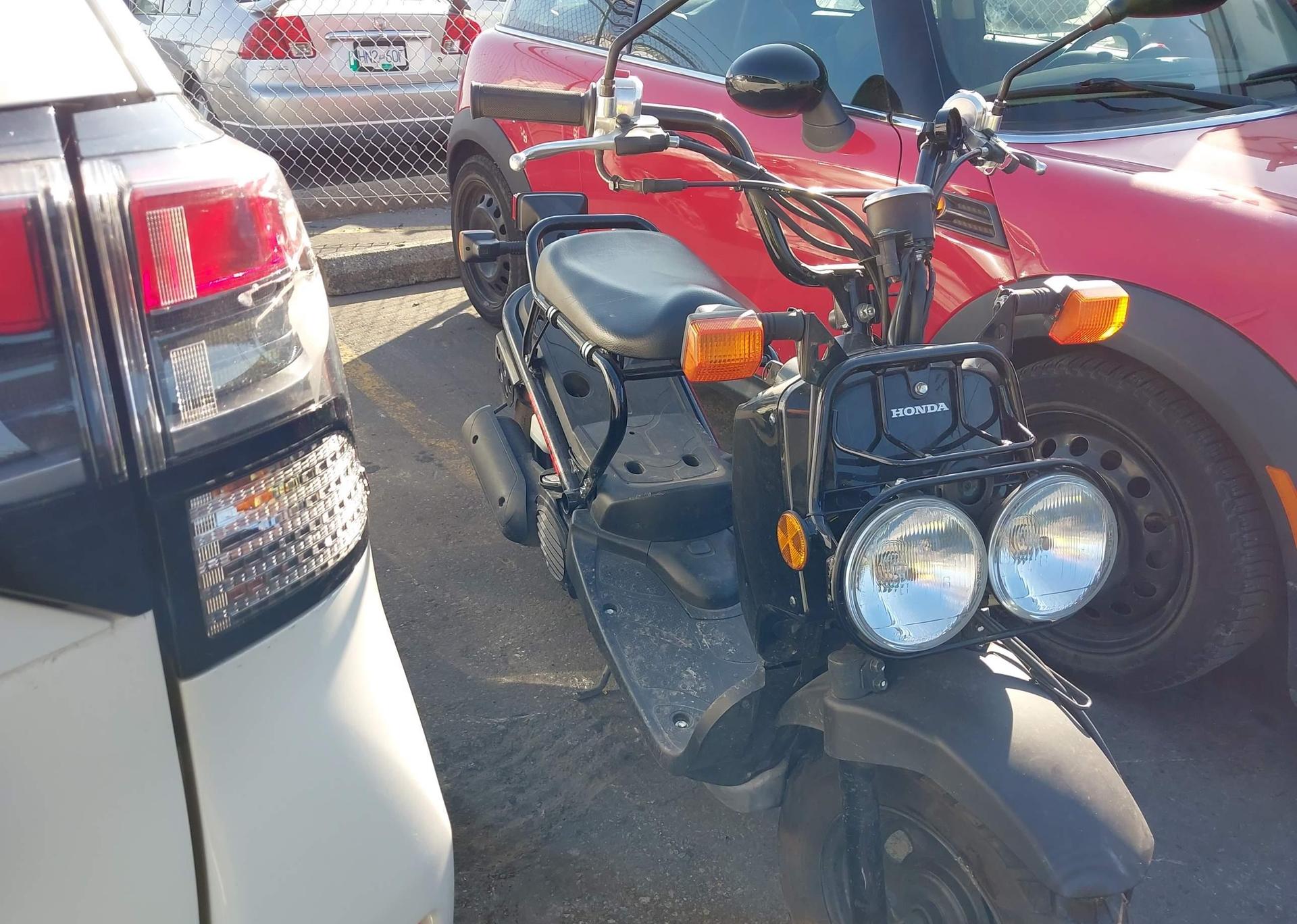 2019 HONDA NPS50