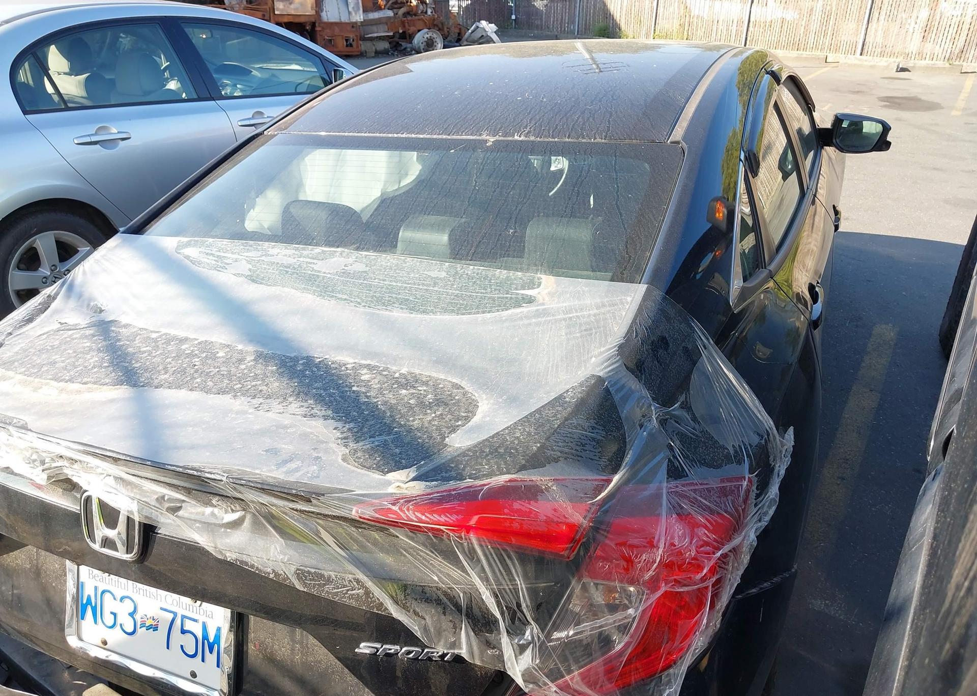 2019 HONDA CIVIC