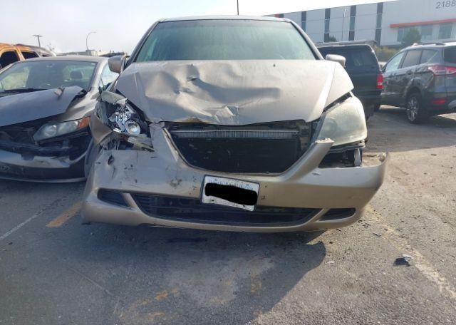 2005 HONDA ODYSSEY EXL