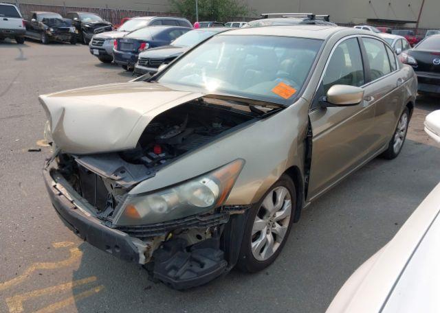 2010 HONDA ACCORD EX