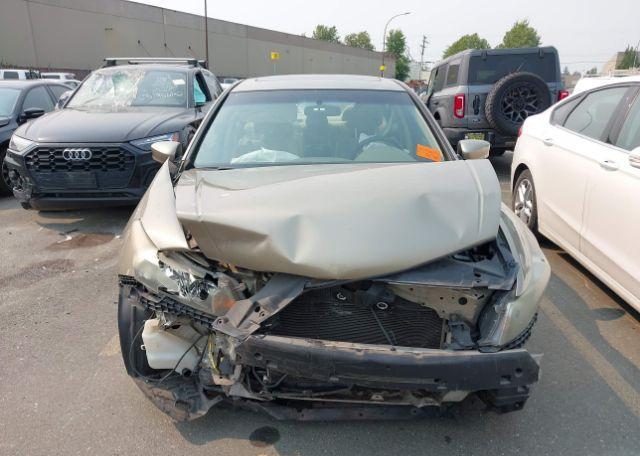 2010 HONDA ACCORD EX