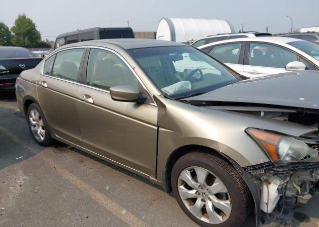 2010 HONDA ACCORD EX