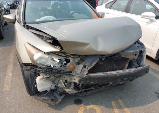 2010 HONDA ACCORD EX