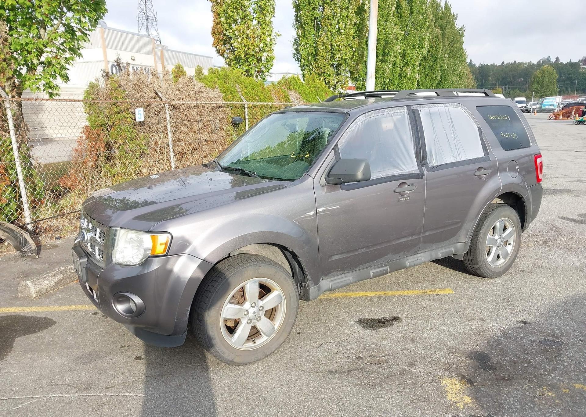 2011 FORD ESCAPE XLT