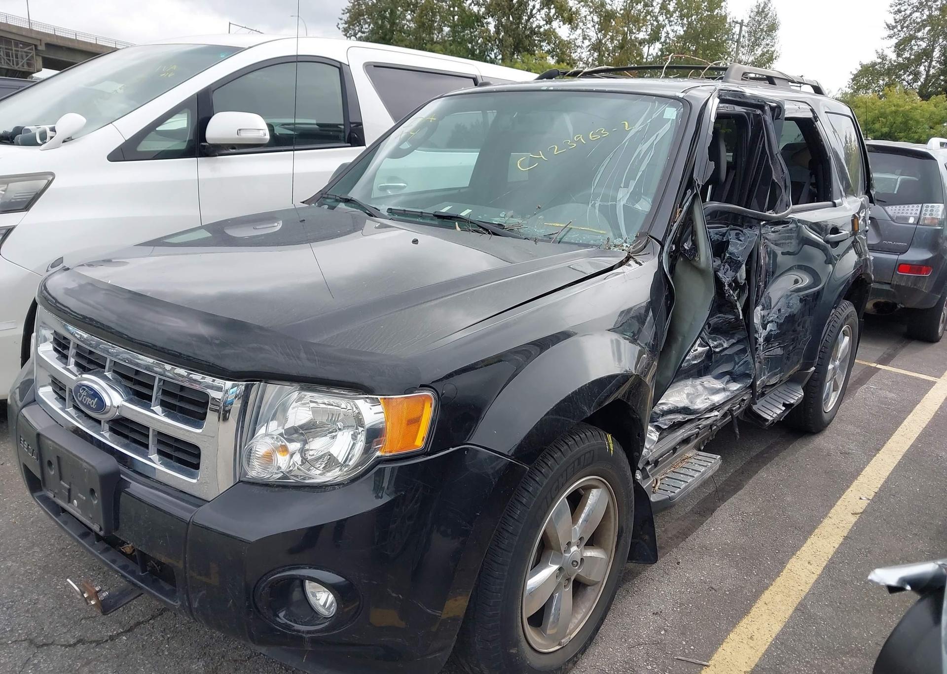 2010 FORD ESCAPE XLT