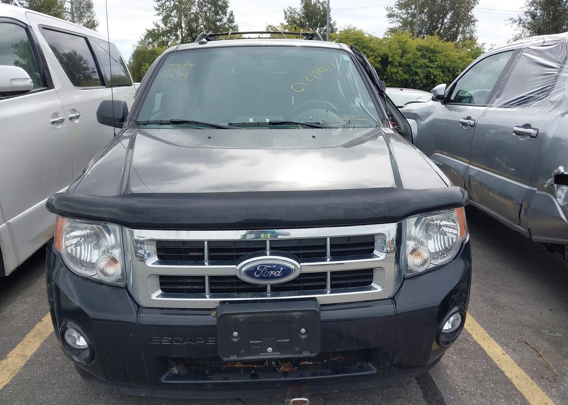 2010 FORD ESCAPE XLT