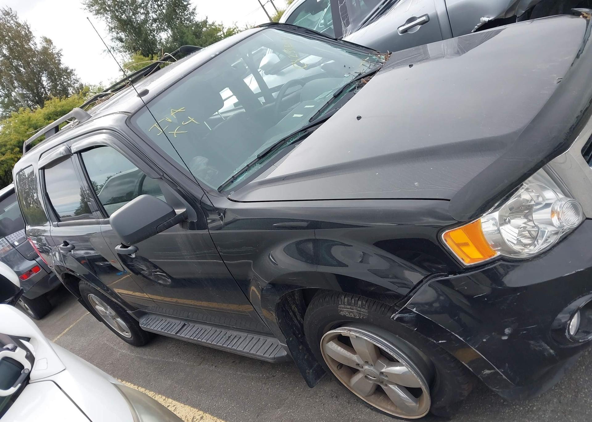 2010 FORD ESCAPE XLT