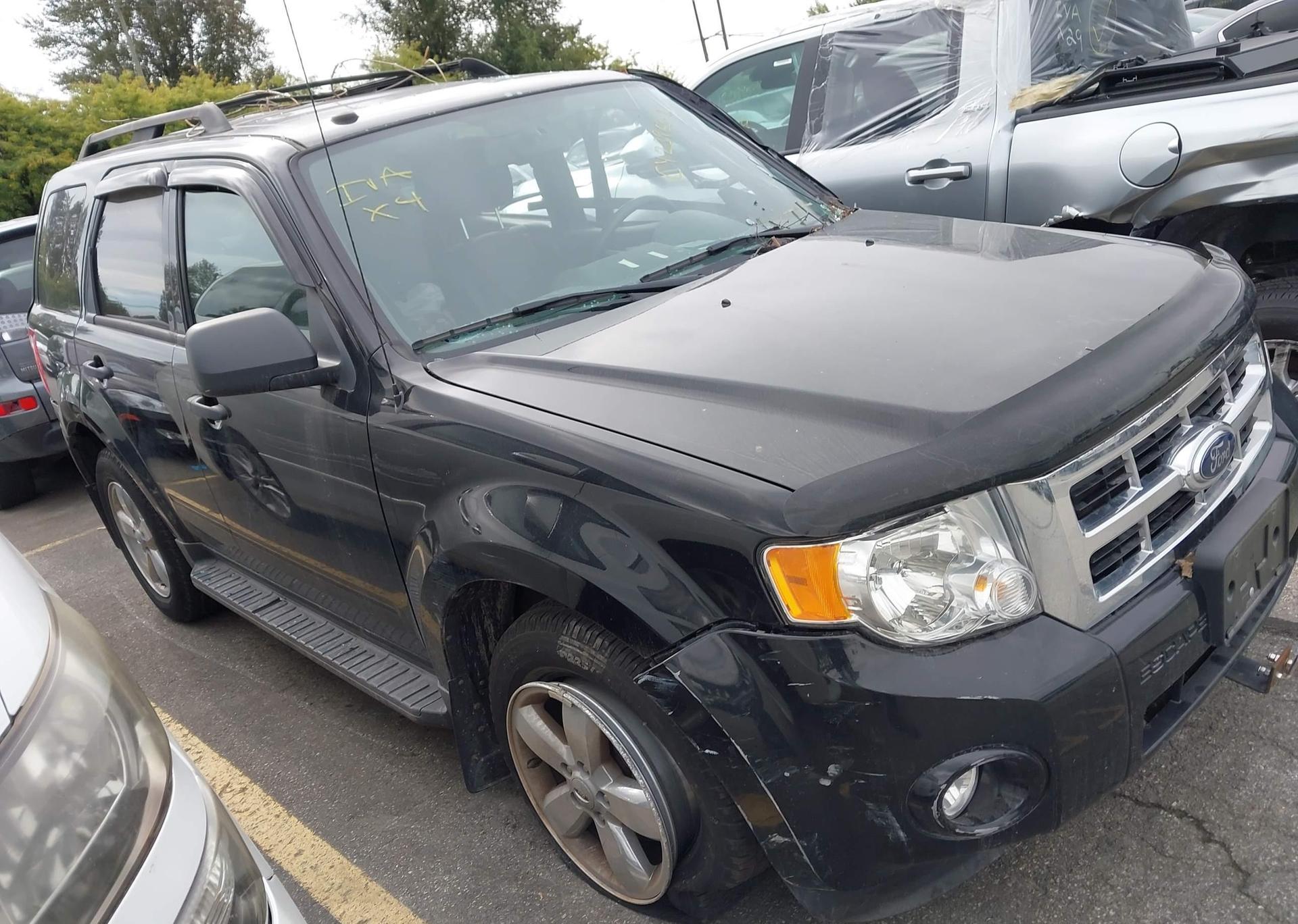 2010 FORD ESCAPE XLT