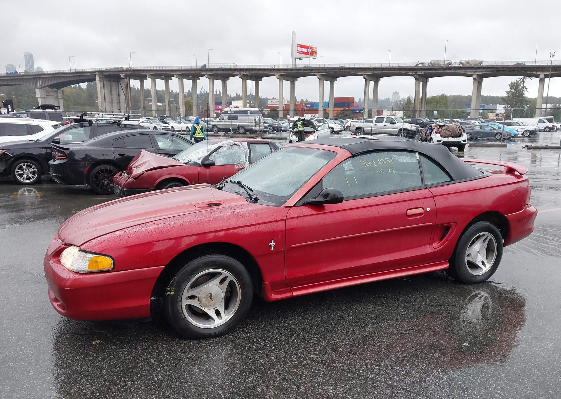 1998 FORD MUSTANG