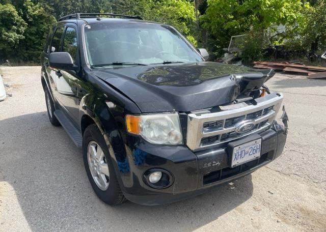 2011 FORD ESCAPE XLT