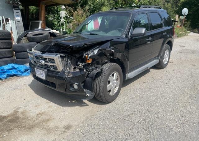 2011 FORD ESCAPE XLT