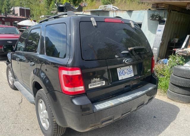 2011 FORD ESCAPE XLT