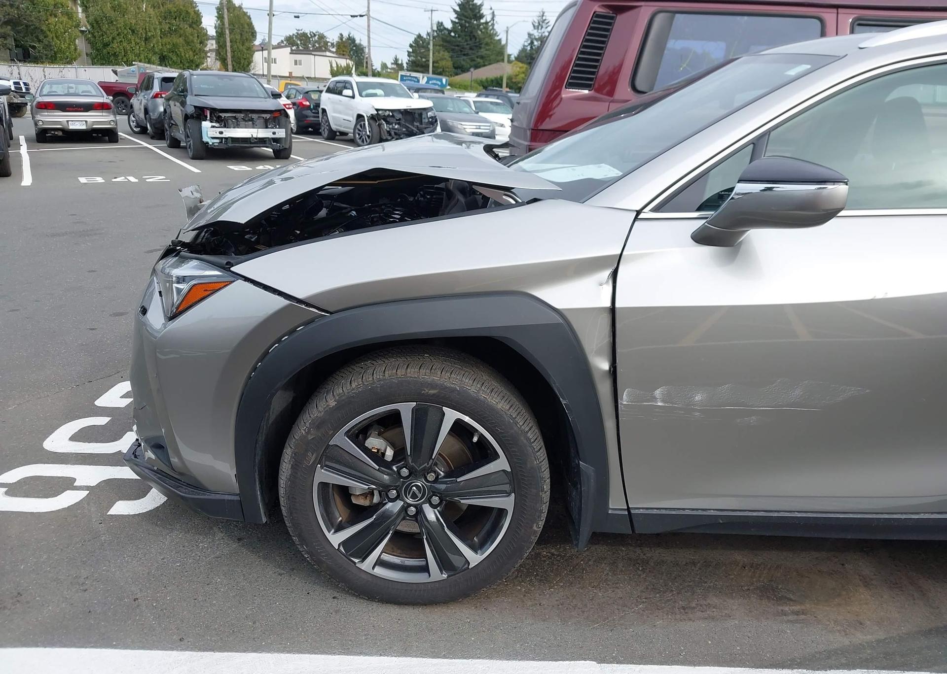 2019 LEXUS UX 250H