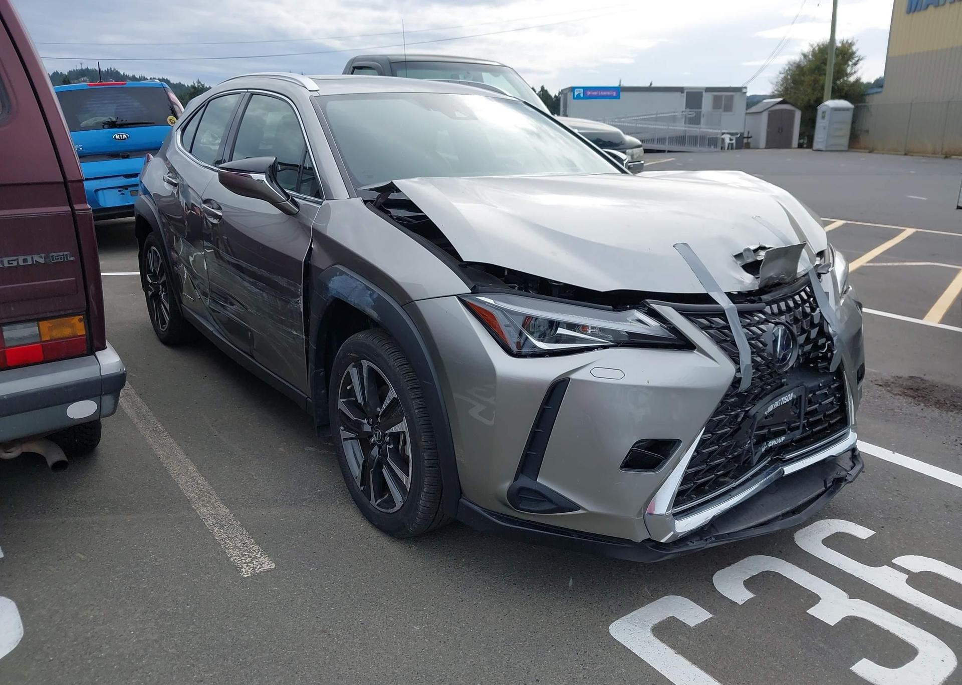 2019 LEXUS UX 250H