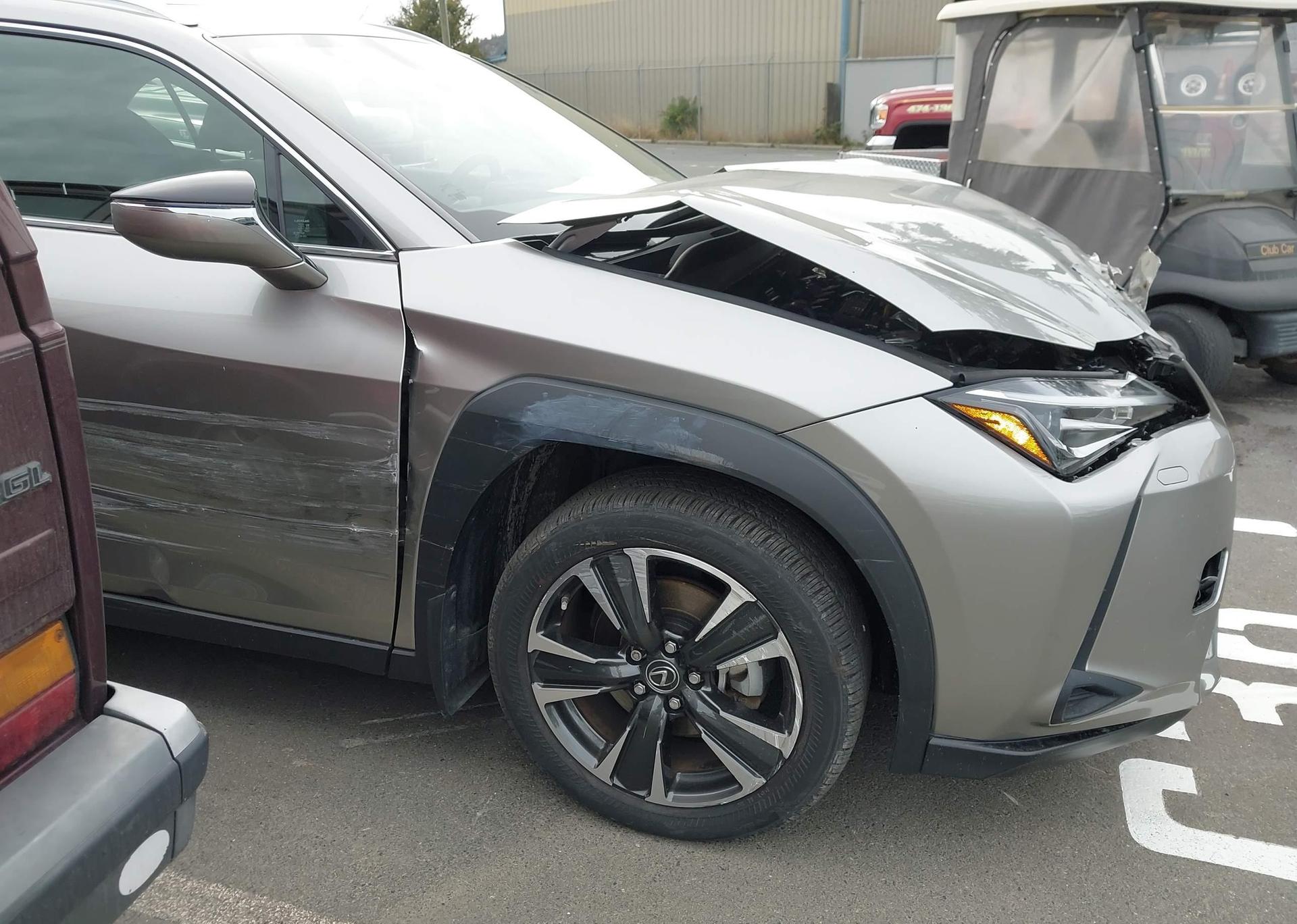 2019 LEXUS UX 250H