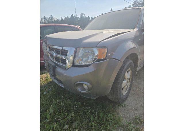 2008 FORD ESCAPE XLT