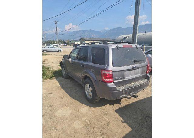 2008 FORD ESCAPE XLT